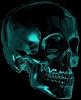 BlackDark13