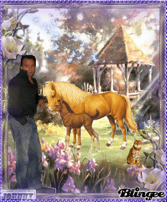 JohnnyPapy
