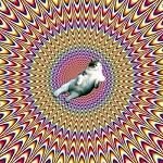 gatto1982