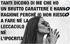 STELLA__DEM