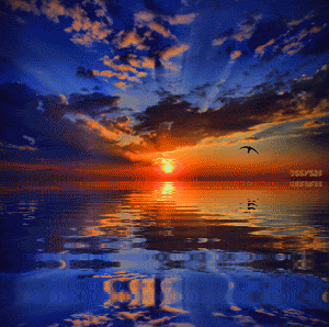 BELTRAMONTO