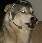 lupettoDJ_WFG