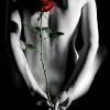 Alya_
