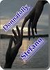 Donnafolly01
