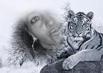 DOLCE_JASMIN_