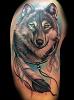 Lupo_1