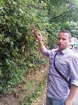 zamorano_RBSL
