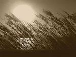 Breeze