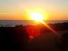 MaxSunSea