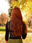 Orchidea_nera93