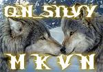 QN_SILVY_MKVN