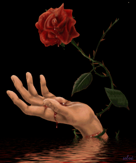 INCOGNITA_
