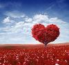 Cuore_Di_Luna