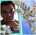 ANTO_PRC