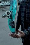 SkaterGirlVans