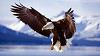 aquila_21_DN_