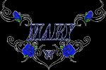 Mary30_HEAVEN