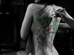 _FANNY_