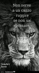 SiD_TheCure
