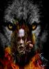 _DANY_