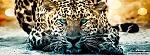 Manuel_Sinclar