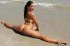 hoia