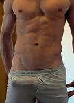 GrayMaxFox