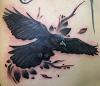 Sabyn