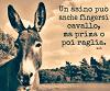 _RamseS_