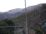 amicogio