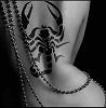 ShinyR