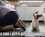 josez