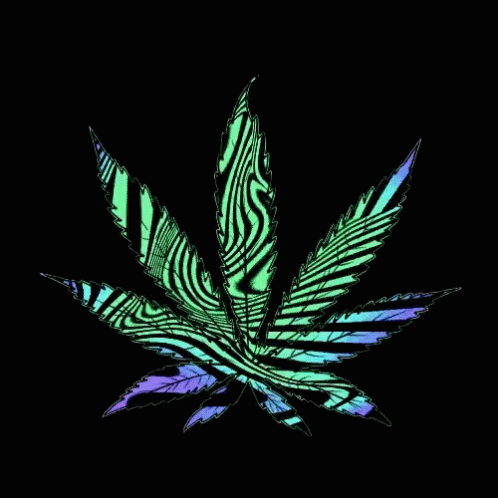 Oo_Marley_oO