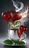 paola_SMF