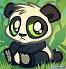 PANDAJAK