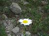 Eclipse_59