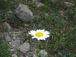 Eclipse_59