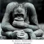 hermanhesse